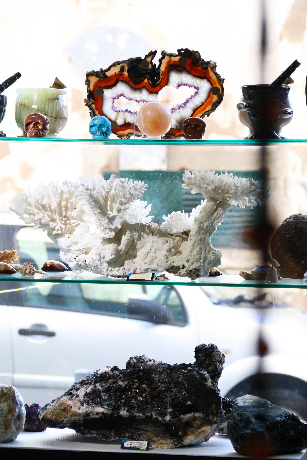 22102019-IMG_1770